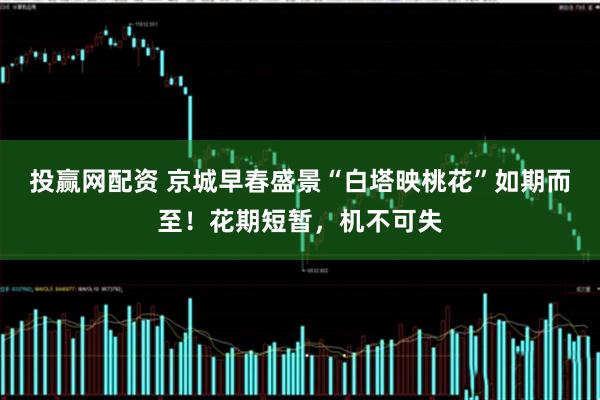 投赢网配资 京城早春盛景“白塔映桃花”如期而至！花期短暂，机不可失